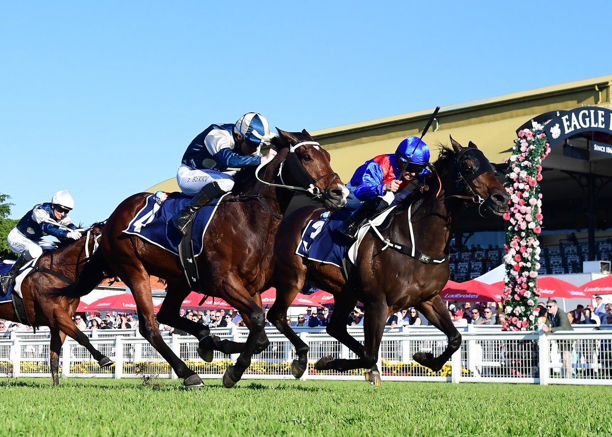 KarakaChat's tweet photo. Queensland Carnival Double for Millionaire War Eternal (NZ)

Saturday’s A$160,000 Listed Sky Racing Spear Chief Handicap (1500m) at Eagle Farm completed a Queensland feature double for #WarEternal (NZ) (Pierro), and it took the Karaka 2020 graduate past A$1m in career earnings. 🏇💰

The Spear Chief came three weeks after War Eternal’s last-start success in the Listed Bernborough Handicap (1600m), and it improved his career record to 39 starts for seven wins, eight placings and A$1.03m in stakes. He was offered by @CambridgeStud in Book 1 of Karaka 2020, where @BBakerRacing  and @ClarkeBstock bought him for $160,000.🤝

“He's a beautiful horse and he's been a bit of a stable stalwart for a while now,” Clarke said. “He's got a few years in his legs now, and I think he's ticked over A$1m, so he's an absolute ripper.”

Read more below 📰: https://t.co/0VjAuAHFUl