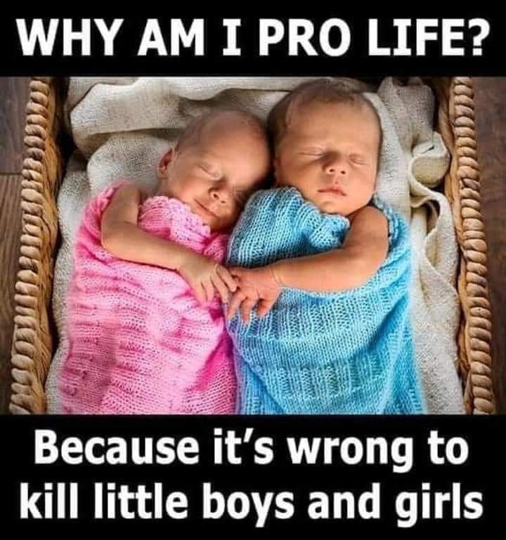 Nickguantanimo's tweet photo. @TrumpsHurricane Abortion is murder. You do know that ? https://t.co/2iXJVLUVJp