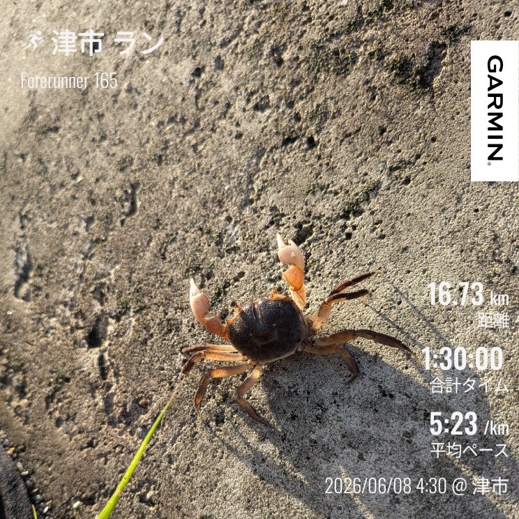 Sumiyatsuki3's tweet photo. しごまえ朝ラン90分🦀

日の出時間の朝の空気
ヒンヤリ気持ち良し🌅
でも走り終わりは滝汗💦

カニも気持ち良さそうにお散歩
今日も良い日になりますように🍀

#今朝は布団に勝てた
#朝ラン https://t.co/4uerZvgBN0