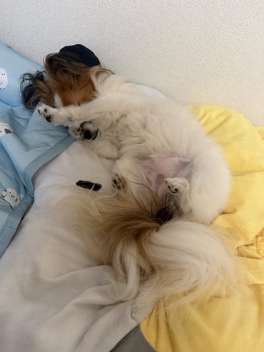_peco0523's tweet photo. 今日はまだねむ〜い😆 https://t.co/u4I9HvOKuZ