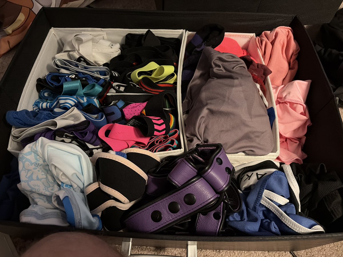 bird_brainedd's tweet photo. Finally organized my undies/toys/slutty clothes 🥰 https://t.co/yjaSJhMGsm