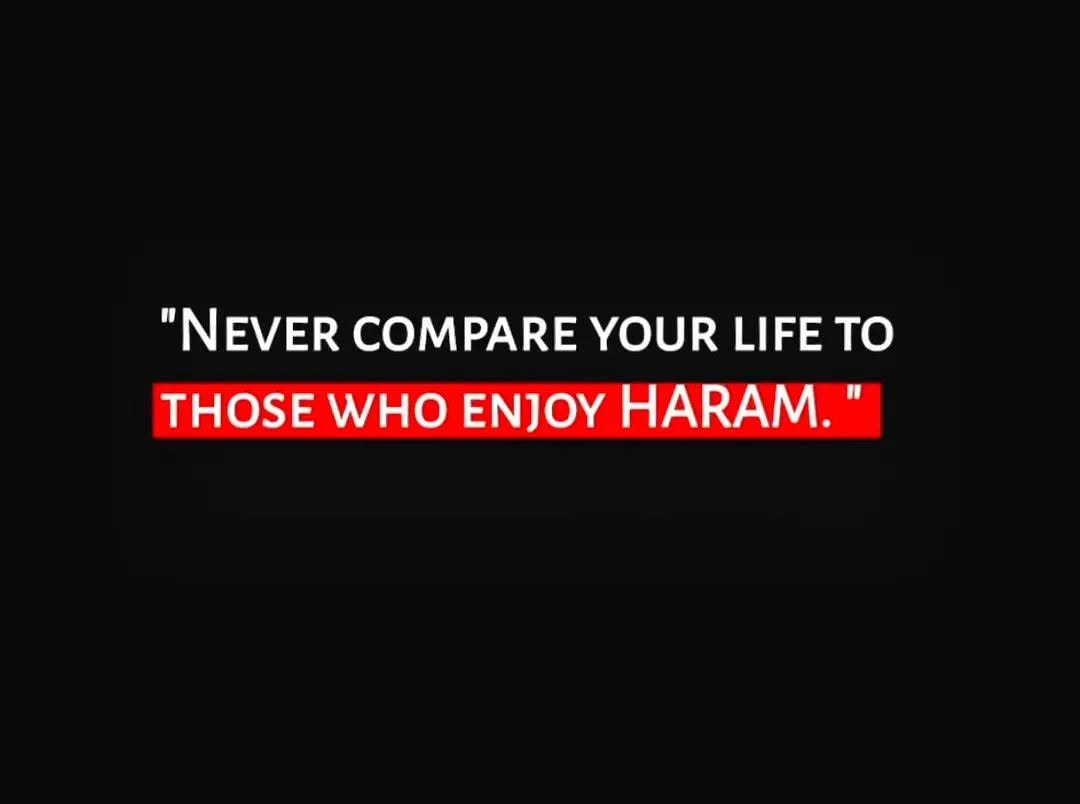 MuslimsMatters's tweet photo. Never. https://t.co/gnl4VpYfKH