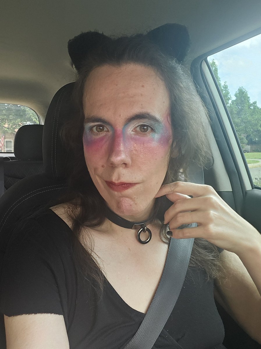 JustJamithy's tweet photo. 35 year old cat goes to their first pride parade https://t.co/WvPqKO99XK