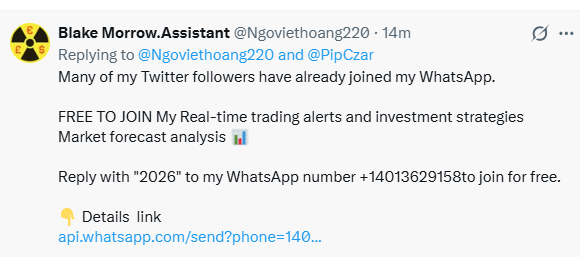 PipCzar's tweet photo. Scammer Below.

I don't use whatsapp or discord for anything. Too many of these fakers running around those platforms. 

These people are worse than nameless faceless trolls. https://t.co/86PgLGoUGA