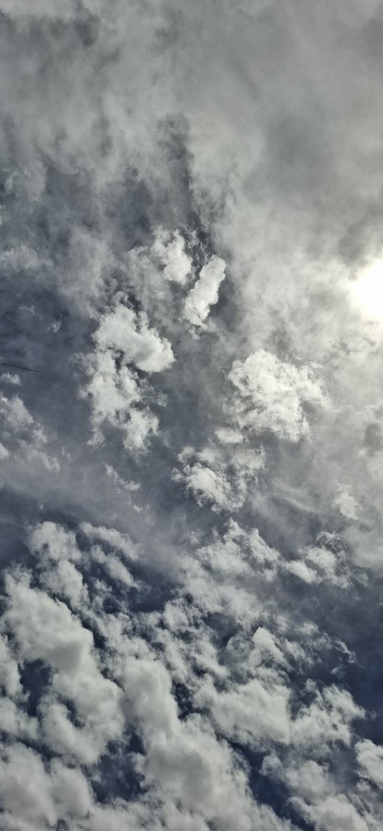 DiianG31's tweet photo. El cielo 😌📸 https://t.co/EuWpinAaV3