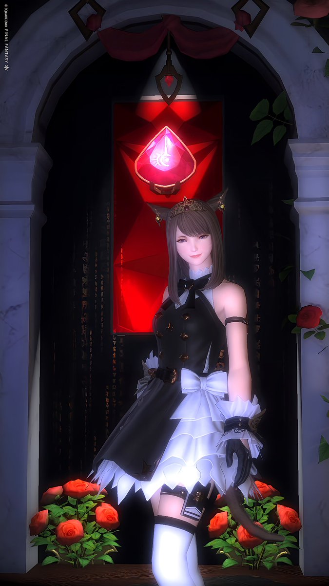 shion_DQX_a's tweet photo. ஐ*:.٭ Ciao!! ٭:.*ஐ

赤魔の専用ブース完成❣️
学者とナイトもできたよ✨

今週もゆるっとがんばりましょ！

#FF14 #FF14SS #おはミコ https://t.co/r5D3qLi9KF