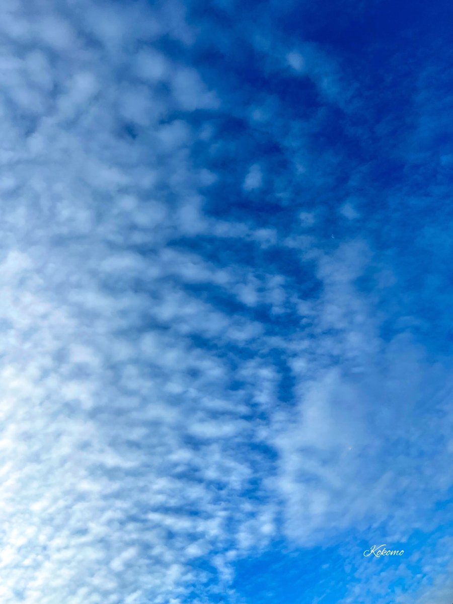 kokomo5951's tweet photo. 2026年6月8日
月曜日
雨上がりの
清々しい空

おはようございます

今日もお天気不安定🌂
体調に気をつけて
お過ごしください

Kokomo🌳は
お仕事復帰です
笑顔いっぱいの一日に
なりますように😊

今週もどうぞ
よろしくお願いします💝✨

#イマソラ https://t.co/tn0xGZeyOH