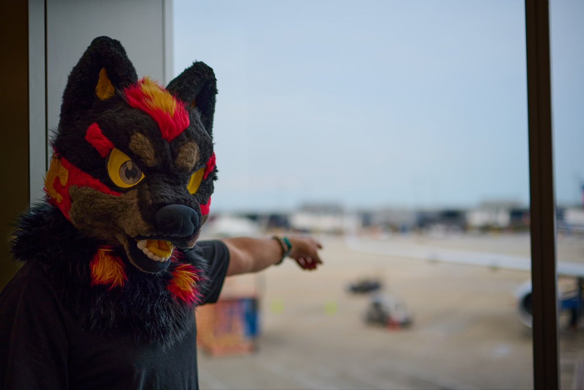 IntelergentBird's tweet photo. Hey do you know what kinda plane this is!?!

📸- @Dakota_Fluff https://t.co/sYy8kP9LKf