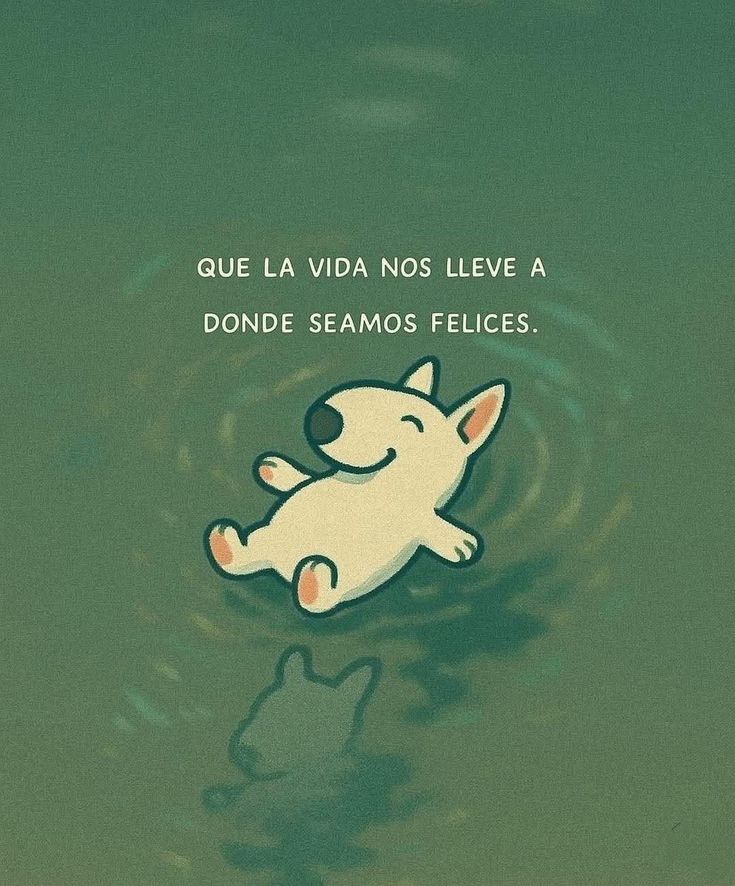 ANIMALITOSSANA's tweet photo. https://t.co/qhKabmdpLG