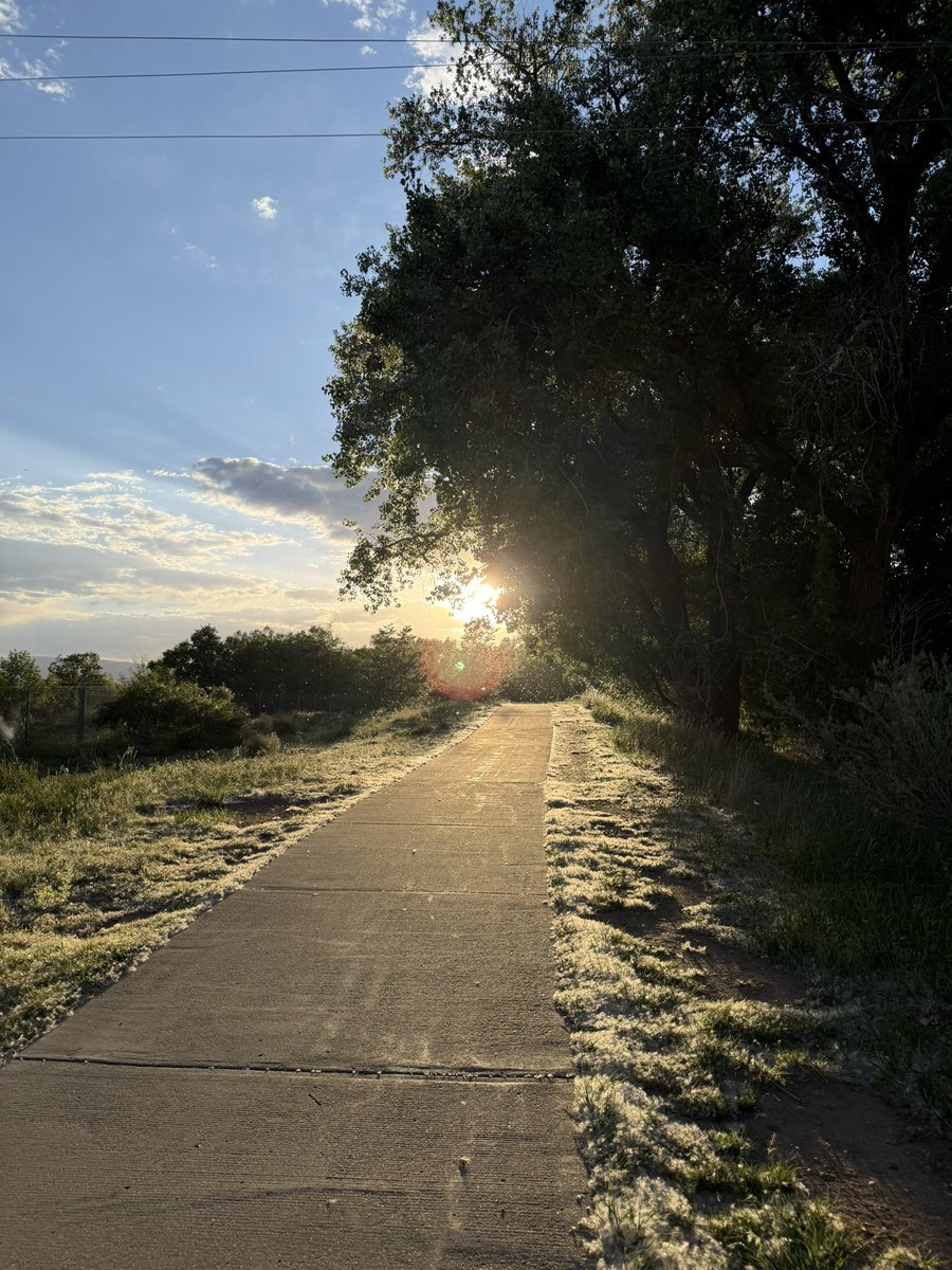 KizmaHusky's tweet photo. Some photos from a walk yesterday :) https://t.co/fIjVgNl4iA