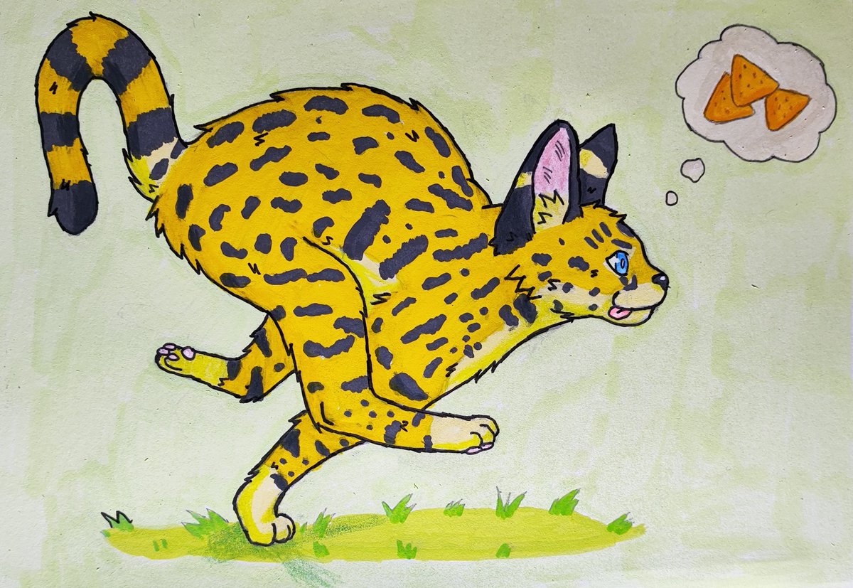 NachoChyzo's tweet photo. Orange behavior feral Bonbon. (⁠・⁠∀⁠・)

Yes, his nakey. (⁠ㆁ⁠ω⁠ㆁ⁠) https://t.co/bIZij9nOtU