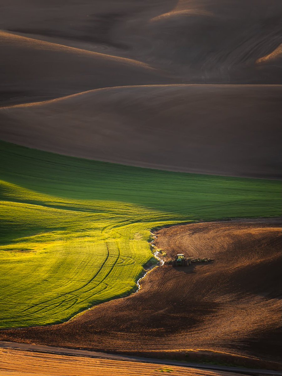 etheravibe's tweet photo. Springtime greenery in the Palouse, Washington https://t.co/IETfmUNtyH