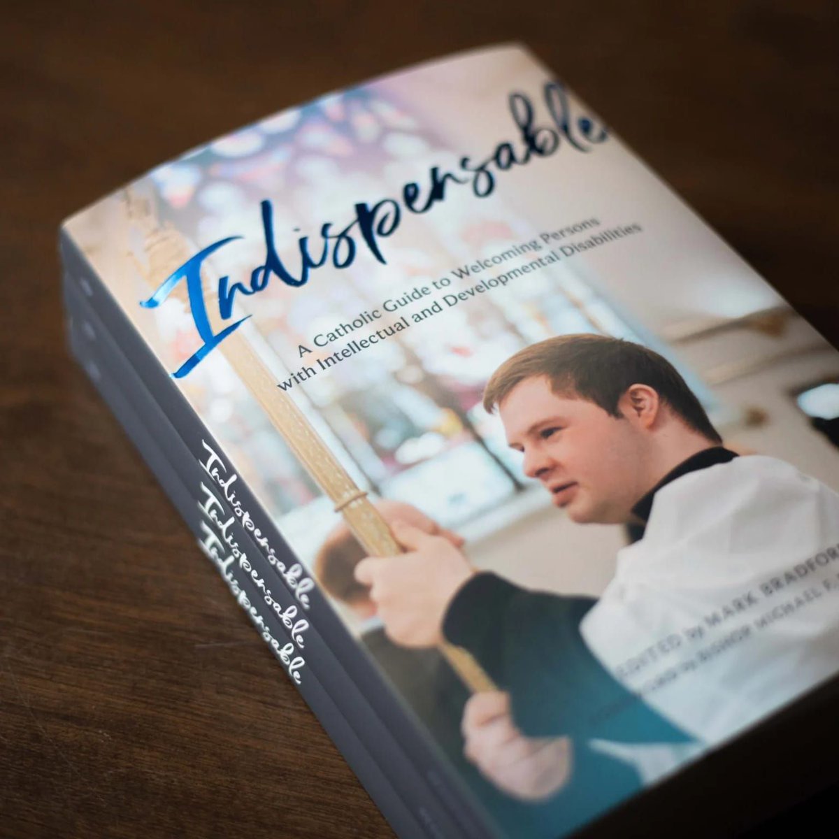 AutisticPriest's tweet photo. Indispensable: A Catholic Guide to Welcoming Persons with Disabilities, a book I wrote a chapter on sensory-friendly liturgies for, won the award for the best "Resource for Ministry" at the Association of Catholic Publishers awards. https://t.co/N4ZpK0EiLd https://t.co/thVWK3JgQv