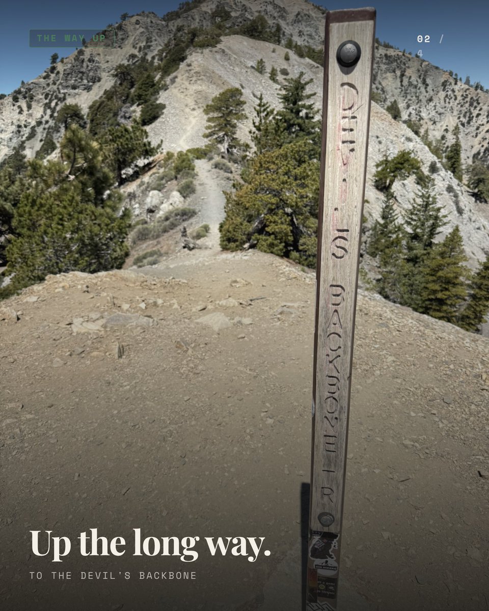 iamTomCannon's tweet photo. Mt. Baldy. 10 miles, 3,917 feet of gain, with my son.
Up the long way to the Devil's Backbone, down the short steep way that rocked my knees. One of the hardest descents Ive done.
No signal, no email, no Teams up there. That's the whole reason I https://t.co/iHNohiqGi4
