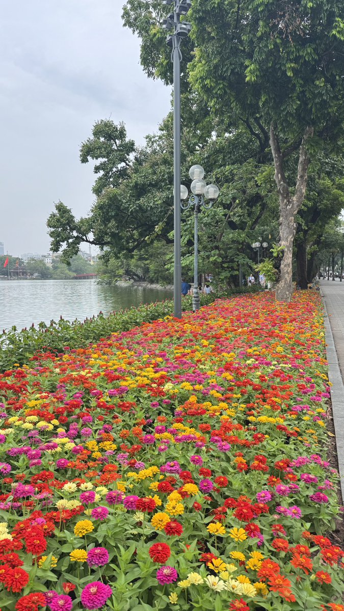 Mwasel2003's tweet photo. Vietnam 🇻🇳 (Hanoi) https://t.co/GU0yq0fr13