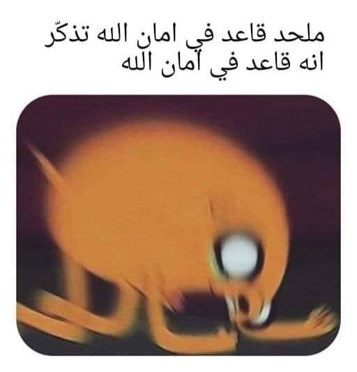 dr_electric0's tweet photo. استهدى بالـ
استهدى بس https://t.co/vrFCYavQzm