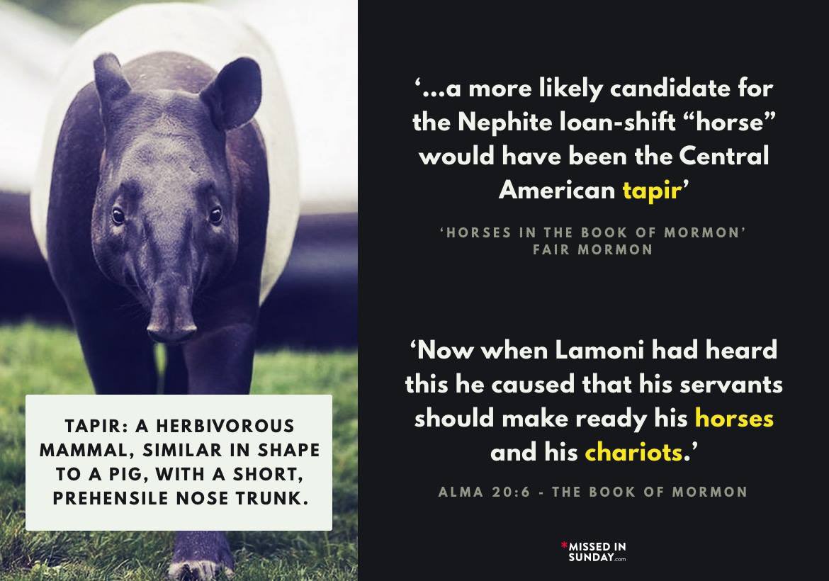 danggerdan's tweet photo. @MattisRedacted Obviously it could’ve been other animals https://t.co/Gw8GJ0N081