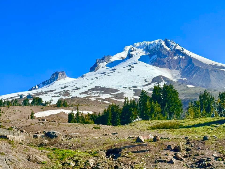 BeavSkiTeam's tweet photo. Mt Hood week! https://t.co/6NaJ5PBzoo