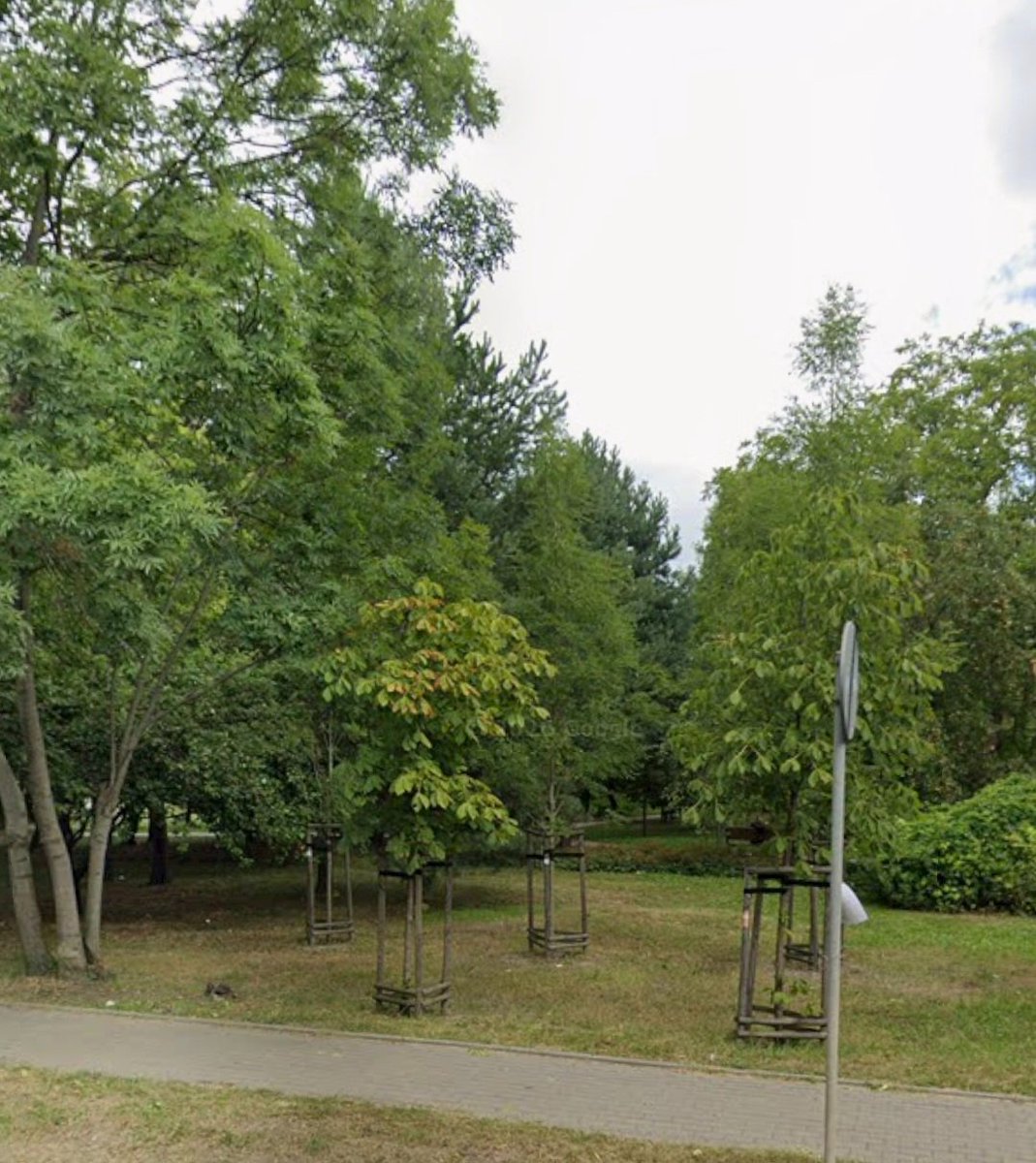 varsovie_style's tweet photo. Pełne poparcie,

U mnie we Włochach był ROD, został przekształcony w Park Ogrody Kosmosu i zieleń służy wszystkim, a nie jakiejś wybranej grupie

WINCYYYJ, MAMY TEGO OD GROMA :D https://t.co/5OeTmYeWUY