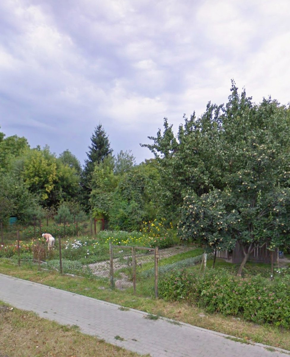 varsovie_style's tweet photo. Pełne poparcie,

U mnie we Włochach był ROD, został przekształcony w Park Ogrody Kosmosu i zieleń służy wszystkim, a nie jakiejś wybranej grupie

WINCYYYJ, MAMY TEGO OD GROMA :D https://t.co/5OeTmYeWUY