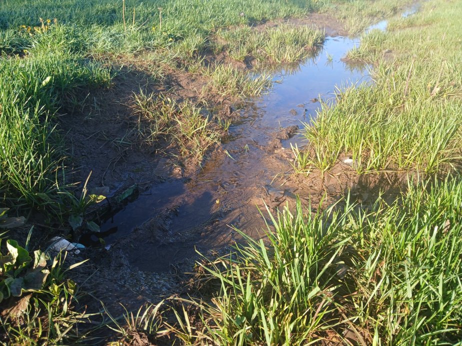 Cairolean's tweet photo. Rod Serling voice: "Imagine if you will, a world made of mud." https://t.co/Pql5hytLvn