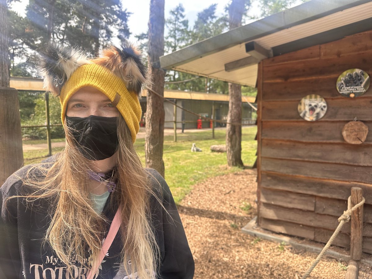 C1nderPup's tweet photo. Took my pretty little puppy to the zoo today to show it how big an enclosure it could have if it behaved…. Of course it was wearing its ballgag mask the whole time 🤭😏 https://t.co/0jkZk79MNT