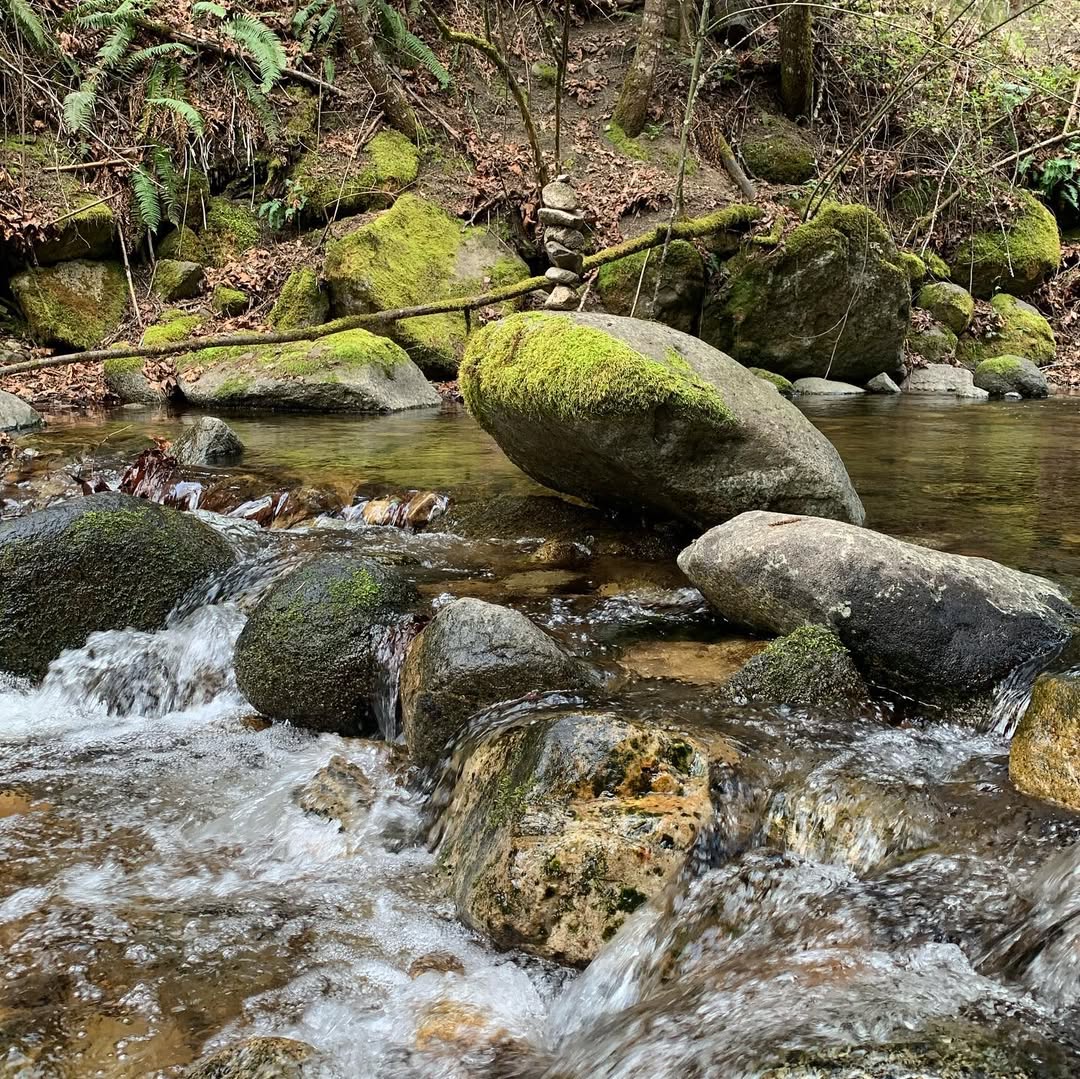 amanisummerday's tweet photo. Plants are still growing, water is still flowing, wind is still blowing, seasons are still changing. https://t.co/EgnUjyzrbF