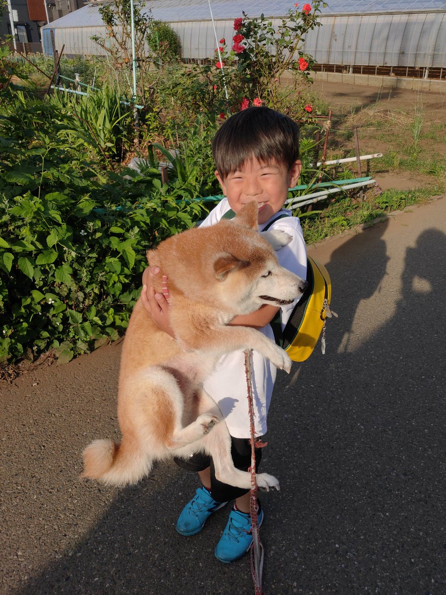ちゃーくん (@AkAVceDyN4QgGH7) / Posts / X