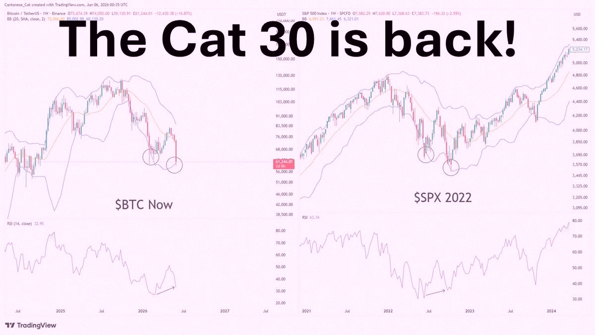 shiba3333's tweet photo. The Cat 30 is making a comeback!
Dropping today at 4 PM EST on X and YouTube. https://t.co/gakavgOPOu