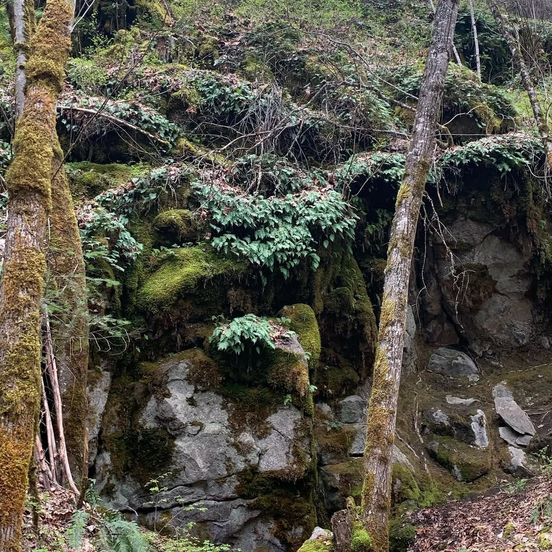 amanisummerday's tweet photo. Plants are still growing, water is still flowing, wind is still blowing, seasons are still changing. https://t.co/EgnUjyzrbF