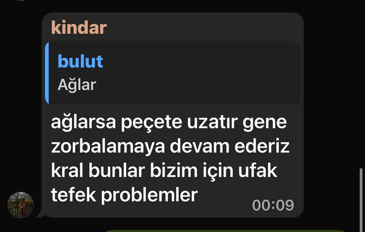 Rêvî🦊 tweet media