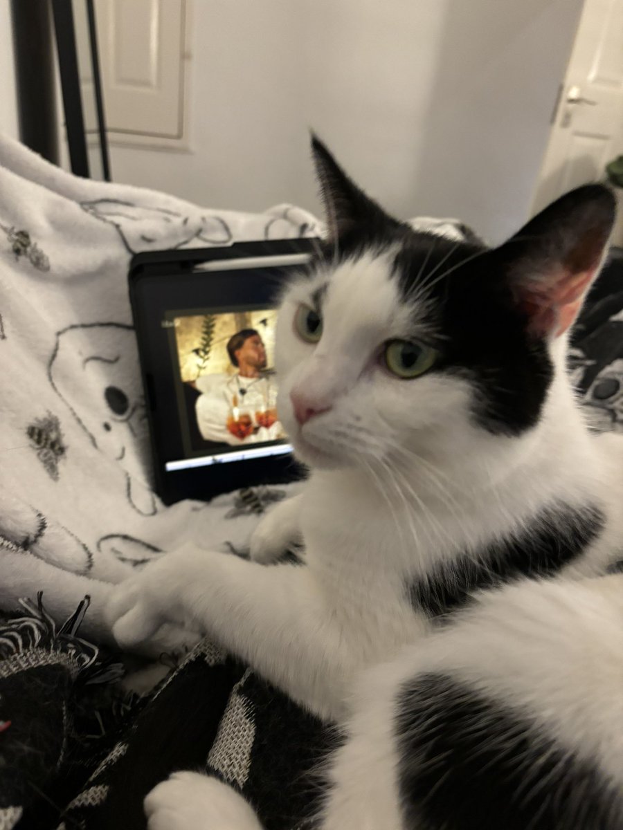 mapolandfriends's tweet photo. lucy !!! on mums lap !!! for the first time !!! omg !!! https://t.co/c3B2LXdA28