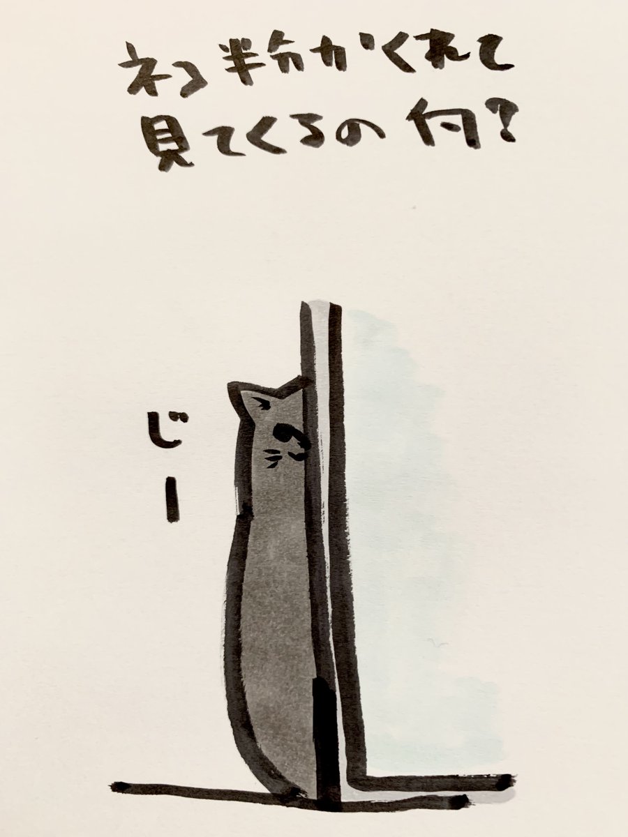 tinmugi's tweet photo. 全体見せれるほど扉開いてるのに半分隠れて見てくるネッコ可愛いけども。 https://t.co/sr5exsfxFL