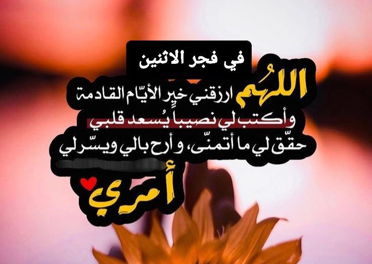 badr20199's tweet photo. https://t.co/uc1tVyhvoj