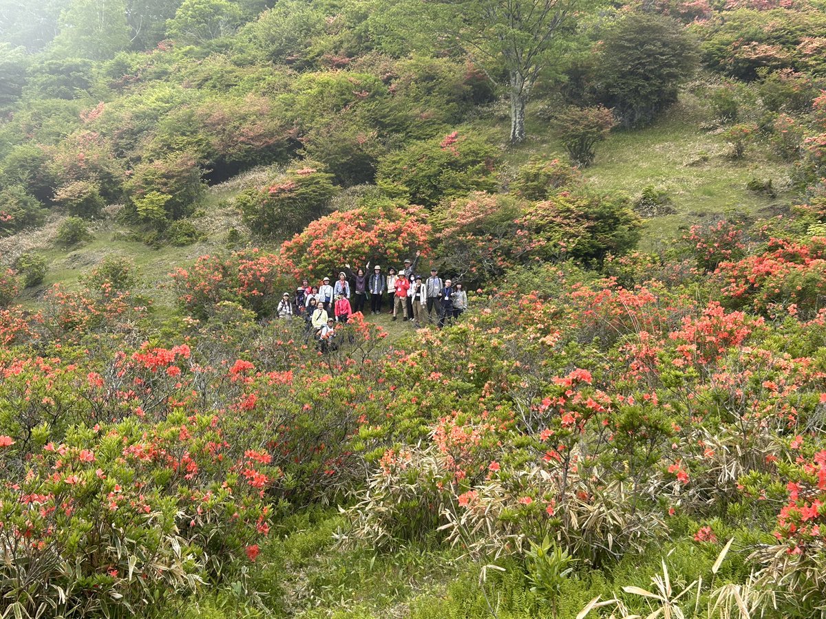 trekkers_cafe's tweet photo. ＃白樺牧場秘密の絶景ツアー2026

7日目無事終了〜
時間内に収めたいけど､収まらない理由があります。

「出たくない‼️戻りたくない😭もう一周する〜‼️」連発w

これほど嬉しいお言葉は､ガイド冥利に尽きます^_^

#赤城山 #大沼湖畔 #日本百名山 #登山 #イマソラ　＃STIHL100周年 https://t.co/326jYgi497