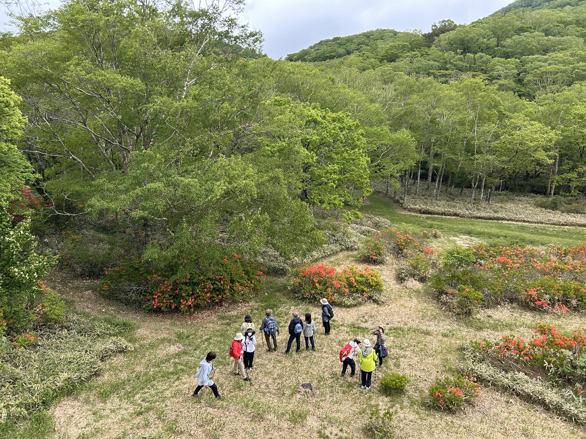 trekkers_cafe's tweet photo. ＃白樺牧場秘密の絶景ツアー2026

7日目無事終了〜
時間内に収めたいけど､収まらない理由があります。

「出たくない‼️戻りたくない😭もう一周する〜‼️」連発w

これほど嬉しいお言葉は､ガイド冥利に尽きます^_^

#赤城山 #大沼湖畔 #日本百名山 #登山 #イマソラ　＃STIHL100周年 https://t.co/326jYgi497