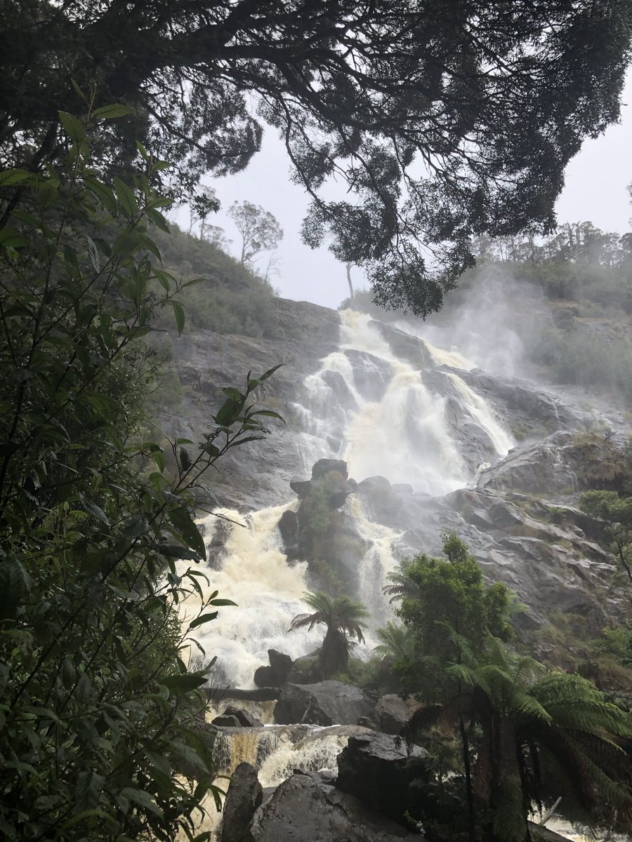 MissusCreighton's tweet photo. @JohnGetchel Some waterfalls from our travels in Australia. This week in our travels we will visit the second highest falls in Australia, The Wollomombi falls in Oxley Wild Rivers National Park in NSW. We’ve had recent rains so it should be a spectacular sight. https://t.co/G8KZWRLfdy