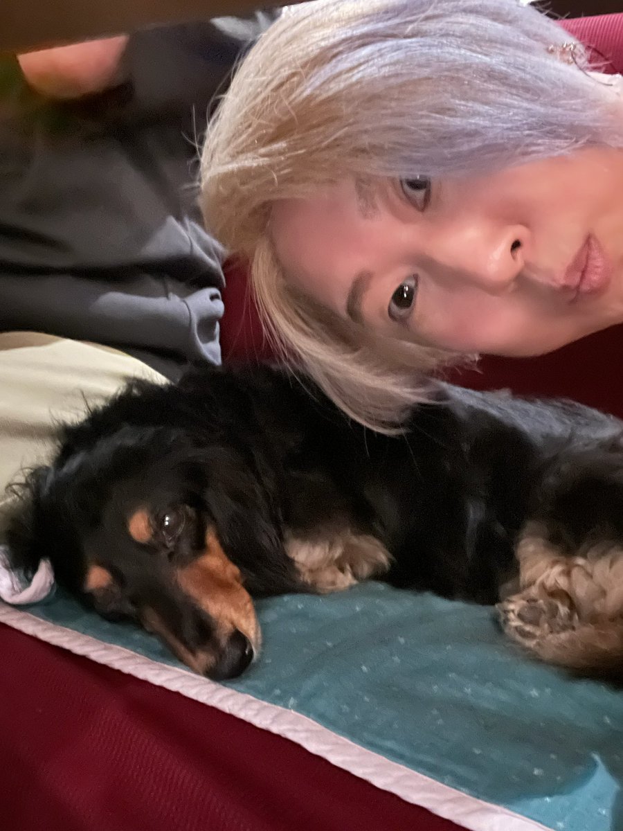 jun_co44's tweet photo. 昨夜の　折原会　無事終了です🙇‍♀️

帰宅は朝４時半。片付けや諸々終わり
今から寝ます...

雨の中、ご来店
本当にありがとうございました！

こんなお天気なので、予定していた数名様とは会えずでしたが...また次回ぜひ！

たーのーしーかったー✨

6月のお誕生日🎂７名＆🐶
おめでとー🍾ありがとー🎁 https://t.co/iH1qpuYw0k