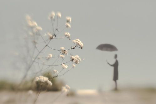 literlandweb1's tweet photo. "¡Oh! La vida es un ciclo glorioso; y el amor es algo que siempre triunfa, que nunca puede fracasar".  
Dorothy Parker 
📷 Hengki Lee https://t.co/Vknha8kuqo