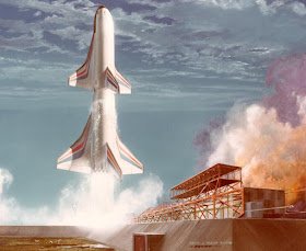 SpaceKoala tweet picture