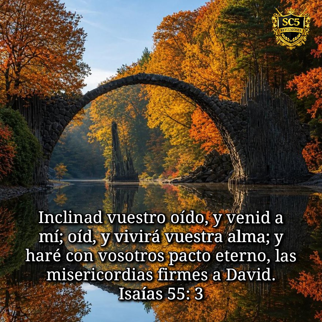 SC5REFLEXIONES's tweet photo. Inclinad vuestro oído, y venid a mí; oíd, y vivirá vuestra alma; y haré con vosotros pacto eterno, las misericordias firmes a David.
Isaías 55: 3 https://t.co/NGAwtwUElR