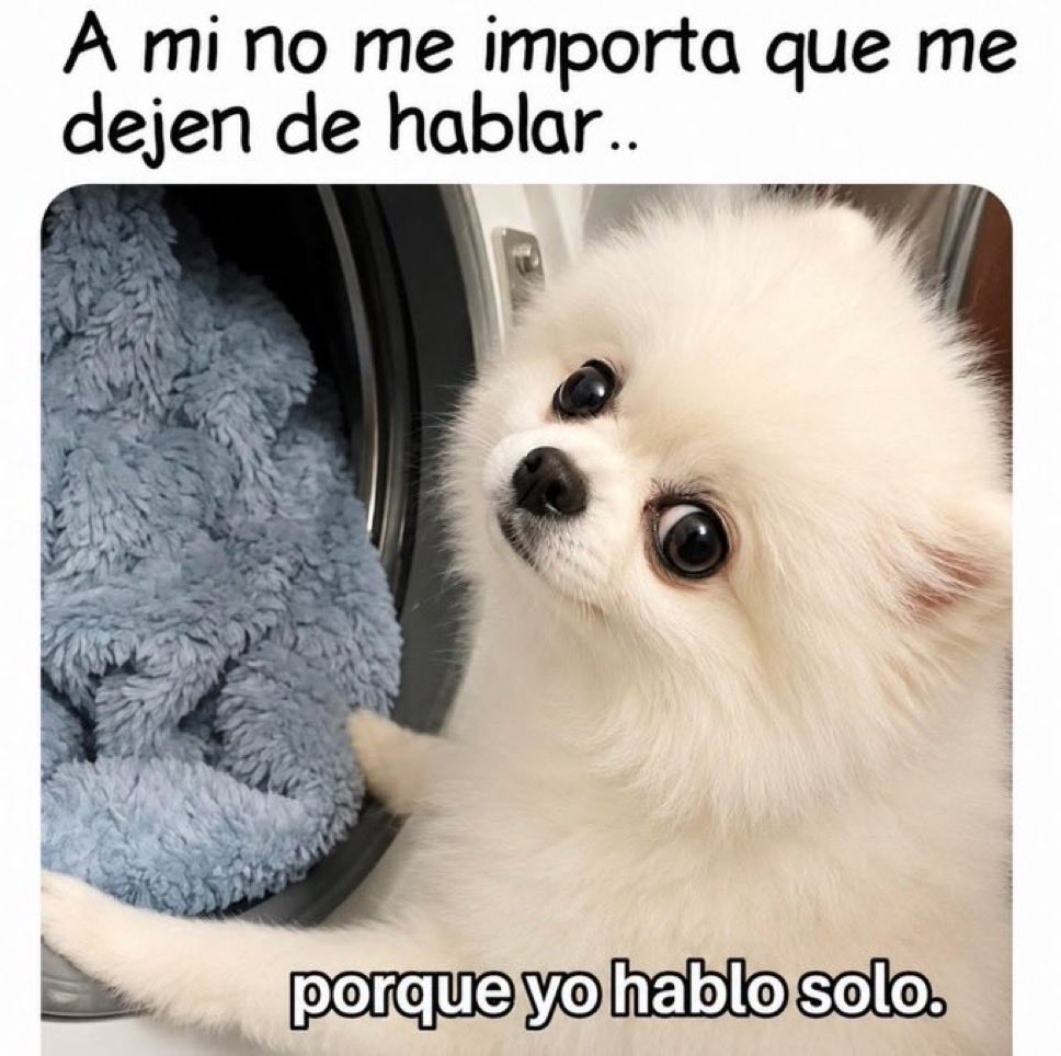Fabiolacar49087's tweet photo. https://t.co/vD8A3iLJJe