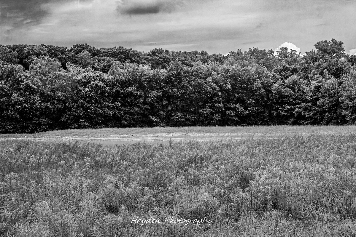 HaydenPhoto73's tweet photo. Taken 6/7/2026. https://t.co/tRxB8YTOMW