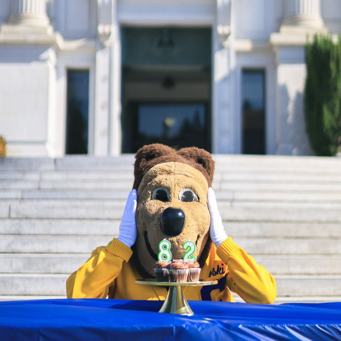 jesusguillermo's tweet photo. Los osos @UCBerkeley l @theACC https://t.co/JdM5GRVnOQ