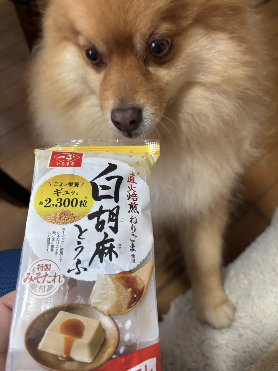 pan704's tweet photo. おはようございます。昨夜は約半年ぶりにモンハンをやったよ。ぶーちゃんとゴグマジオス。操作方法忘れて草

こちらは今朝の朝ごはん https://t.co/fXCBo1U8i3
