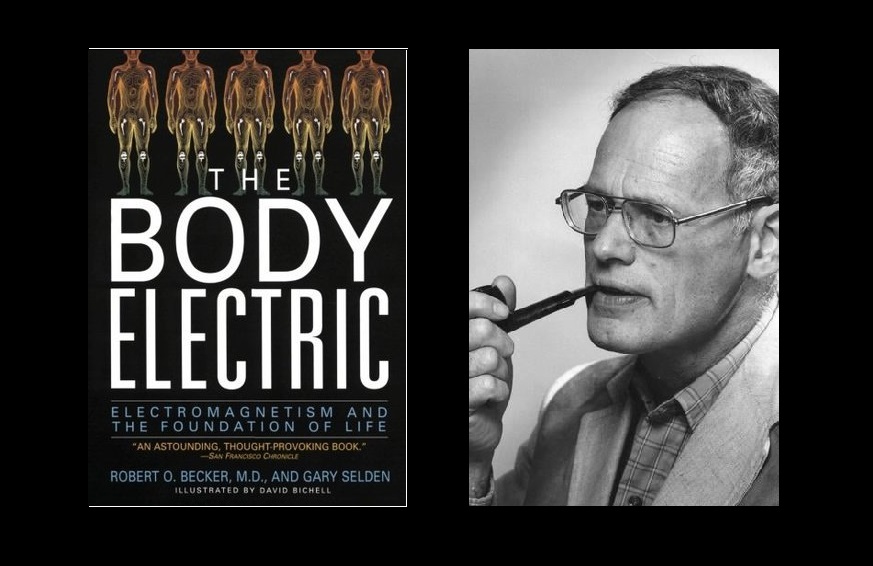 AmmousMD's tweet photo. Robert O. Becker discovered a direct current (DC) electrical system in the body that regulates healing, regeneration, and growth.

He speculated that this current ran through semiconductors.

-We now know melanin is one of the most important ones. https://t.co/6QOGGcKcgM