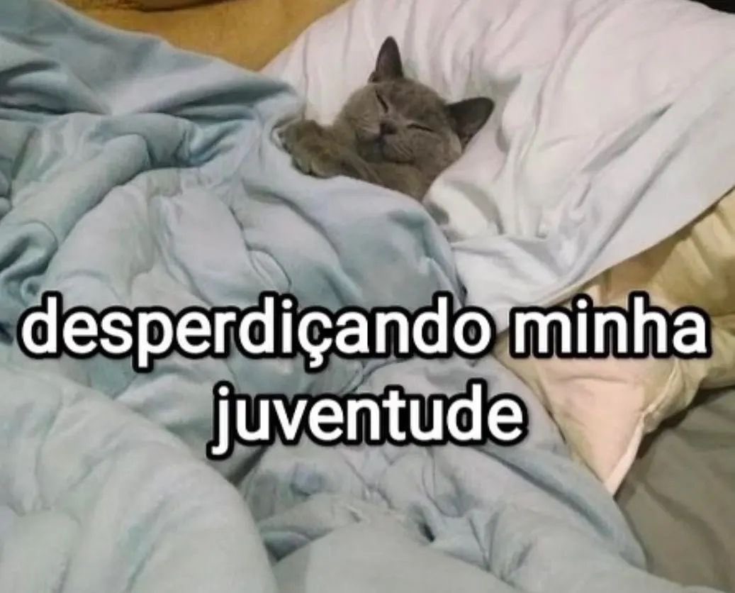 shitpostverdade tweet picture