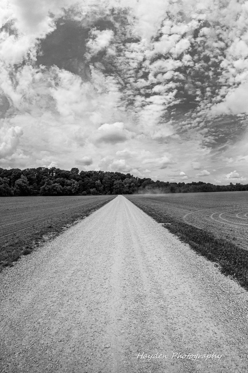 HaydenPhoto73's tweet photo. "Oh, well, a touch of grey, kinda suits you anyway 
 That was all I had to say and it's alright."~Grateful Dead. https://t.co/avsFaU6Ojh