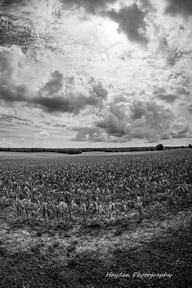 HaydenPhoto73's tweet photo. "Oh, well, a touch of grey, kinda suits you anyway 
 That was all I had to say and it's alright."~Grateful Dead. https://t.co/avsFaU6Ojh
