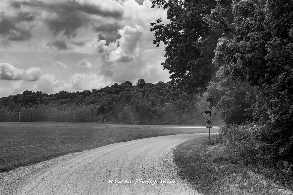 HaydenPhoto73's tweet photo. "Oh, well, a touch of grey, kinda suits you anyway 
 That was all I had to say and it's alright."~Grateful Dead. https://t.co/avsFaU6Ojh
